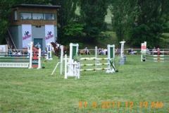 DSCI0138
