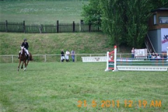 DSCI0139